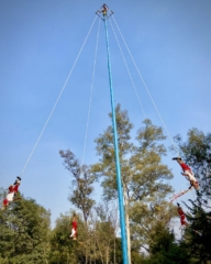 Performers doing the danza de los voladores